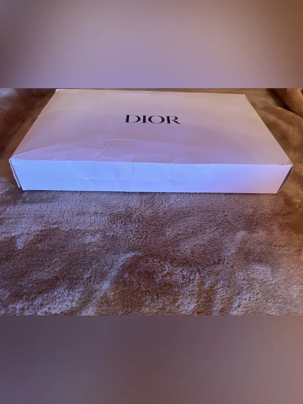 Dior Beige Cosmetic bag